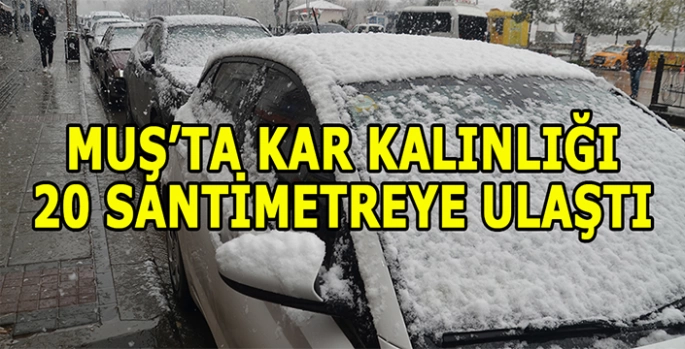 Muş kar yağışı etkili oldu: Kar kalınlığı 20 santimetreye ulaştı!