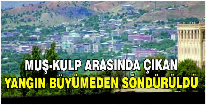 Muş-Kulp arasında çıkan yangın büyümeden söndürüldü