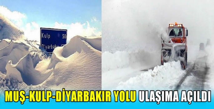 Muş- Kulp- Diyarbakır yolu ulaşıma açıldı