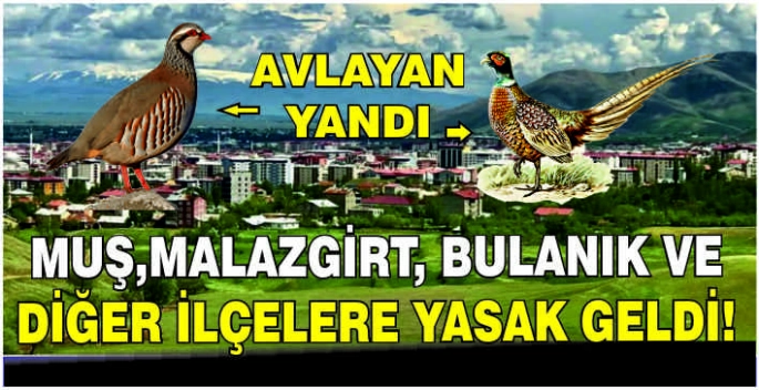 Muş, Malazgirt, Bulanık ve diğer ilçelere yasak geldi!  Avlayan yandı