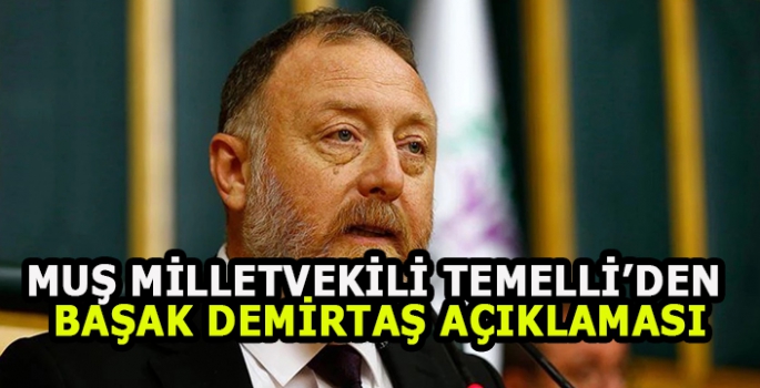 Muş Milletvekili Temelli’den Başak Demirtaş açıklaması