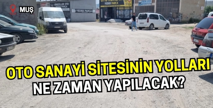 Muş Oto Sanayisi'nin bozuk yolları ne zaman yapılacak?