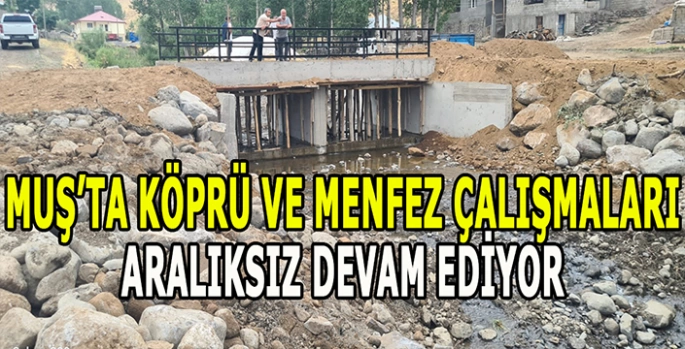 Muş Özel İdaresi’nden yol ve köprü atağı!