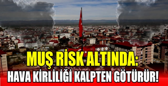 Muş risk altında: Hava kirliliği kalpten götürür!