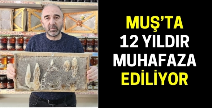 Muş’ta 12 yıldır muhafaza edilen mucizevi bal peteği