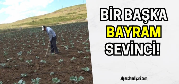 Muş'ta 30 yıl sonra  köylerine dönen köylüler tarlalarını ekmeye başlamanın sevincini yaşıyor