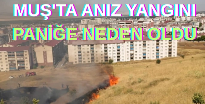 Muş'ta anız yangını paniğe neden oldu
