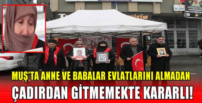 Muş’ta anne ve babalar evlatlarını almadan çadırdan gitmemekte kararlı!