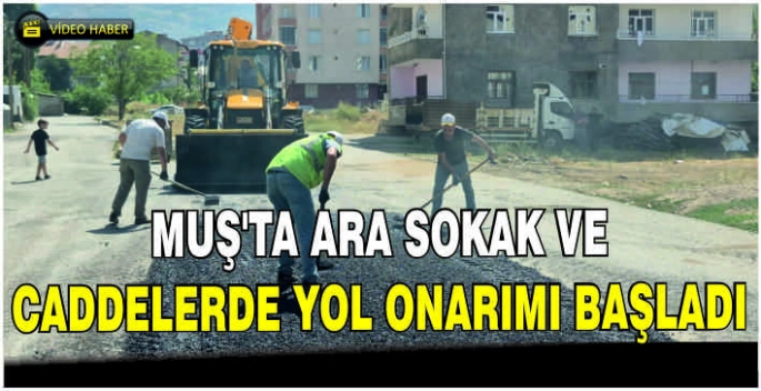 Muş’ta ara sokak ve caddelerde yol onarımı başladı