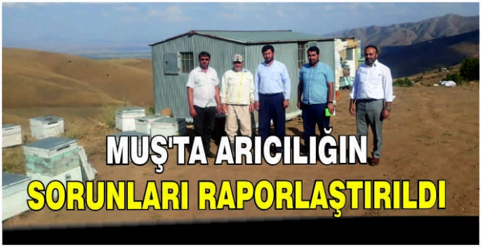 Muş’ta arıcılığın sorunları raporlaştırıldı
