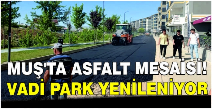 Muş’ta asfalt mesaisi! Vadi Park yenileniyor