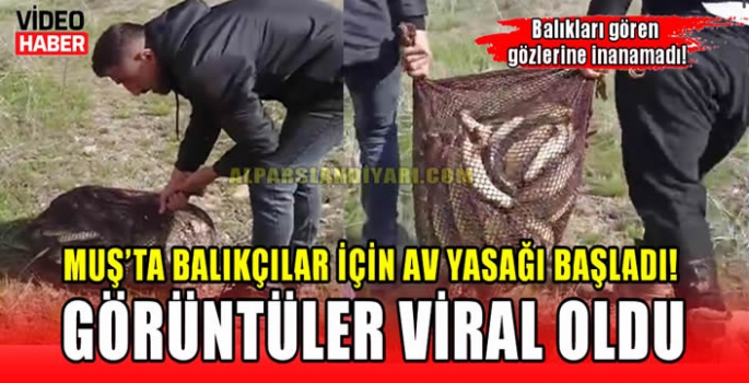 Muş’ta balıkçılar için av yasağı başladı! Görüntüler viral oldu