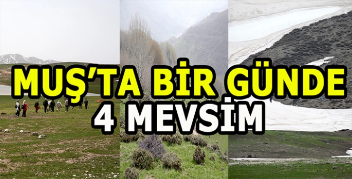 Muş’ta bir günde dört mevsim: Doğaseverler Muş’u keşfetti!