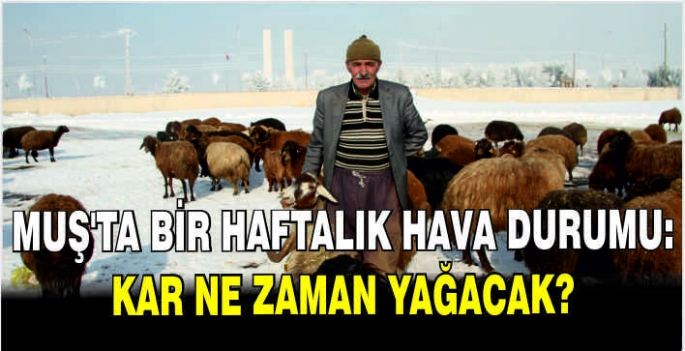 Muş'ta bir haftalık hava durumu: Kar ne zaman yağacak?