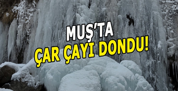 Muş'ta Çar Çayı Şelalesi buz tuttu: Sıfırın altında 15 dereceye dayanamadı!