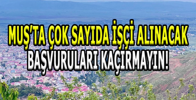 Muş’ta çok sayıda işçi alımı! Bu fırsatı kaçırmayın