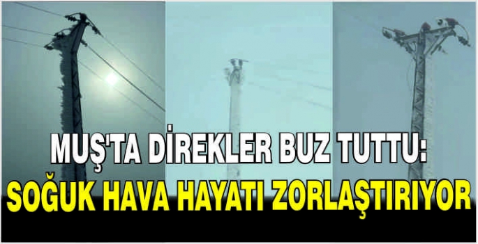 Muş’ta direkler buz tuttu: Soğuk hava hayatı zorlaştırıyor