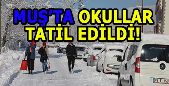 Muş’ta eğitime kar engeli: Okullar tatil edildi!
