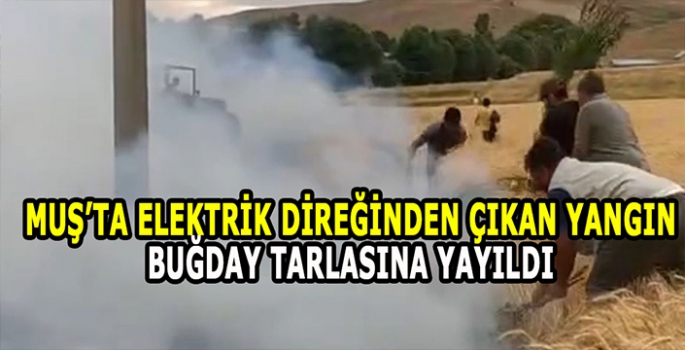 Muş’ta elektrik direğinden çıkan yangın korkuttu
