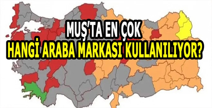 Muş’ta en çok hangi marka araç kullanılıyor? Çoğunun tercihi aynı oldu!