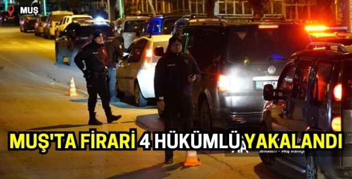 Muş'ta firari 4 hükümlü yakalandı!