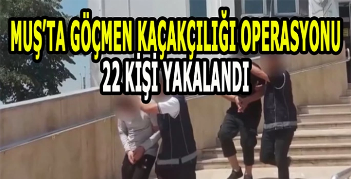 Muş’ta göçmen kaçakçılığı operasyonu: 22 kişi tutuklandı!