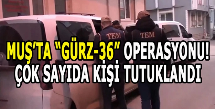 Muş’ta GÜRZ-36 operasyonu: Çok sayıda terör örgütü mensubu yakalandı!