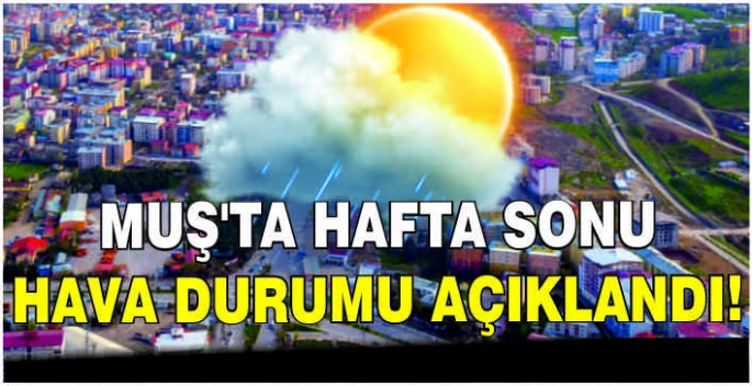 Muş'ta hafta sonu hava durumu açıklandı!