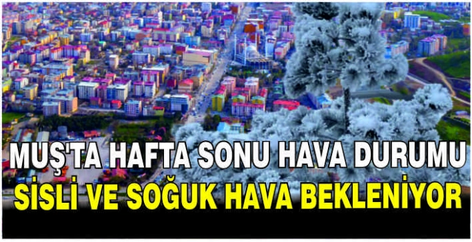Muş'ta hafta sonu hava durumu: Sisli ve soğuk hava bekleniyor