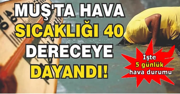 Muş’ta hava sıcaklığı 40 dereceye dayandı! 
