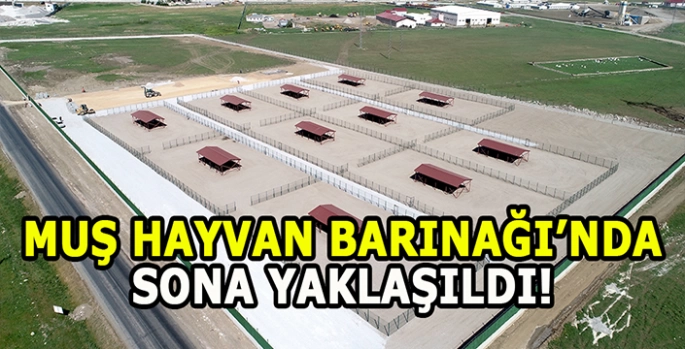 Muş'ta Hayvan Barınağı ve Doğal Yaşam Alanı inşaatında sona yaklaşıldı!