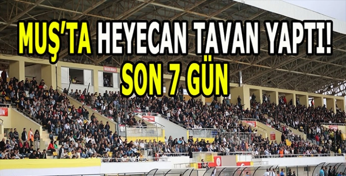 Muş’ta heyecan dorukta: Son 7 gün!