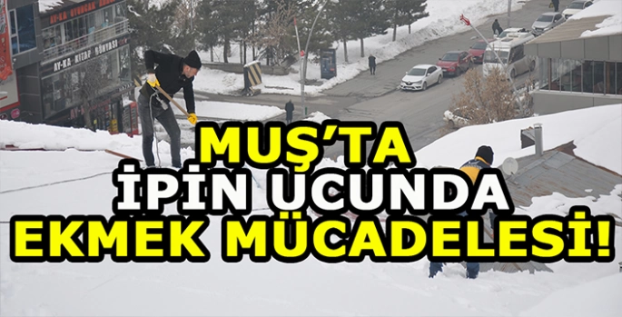 Muş'ta ipin ucunda ekmek mücadelesi: Hayatları bir ipe bağlı!