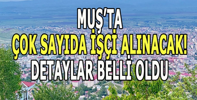 Muş’ta istihdam fırsatı! 34 Kişi işe alınacak