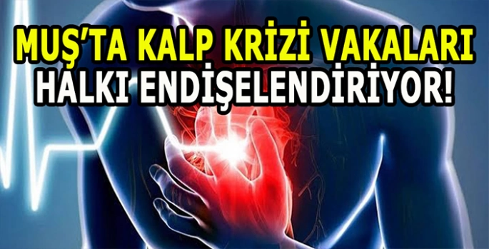 Muş’ta kalp krizi vakalarında endişe veren artış: Halk tedirgin!