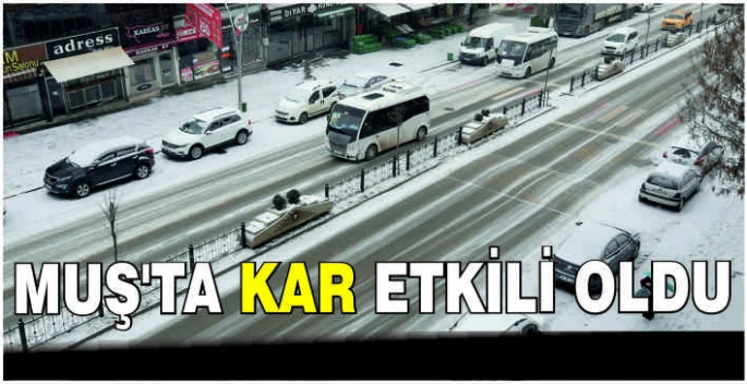 Muş'ta kar etkili oldu