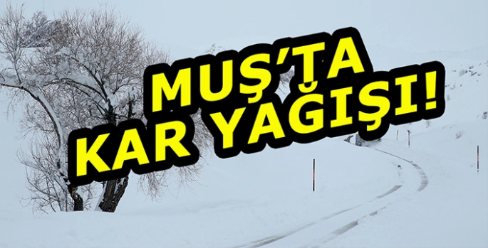 Muş’ta kar yağışı: 59 Köy yolu kapandı!