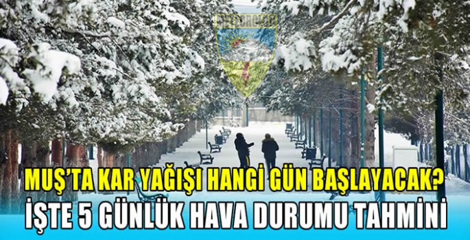 Muş’ta kar yağışı hangi gün başlayacak? İşte 5 günlük hava durumu tahmini…