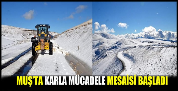 Muş'ta karla mücadele mesaisi başladı 