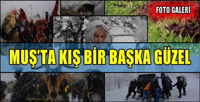 Muş'ta kış bir başka güzel