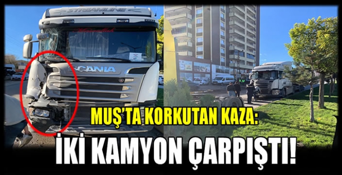 Muş'ta korkutan kaza: İki kamyon çarpıştı