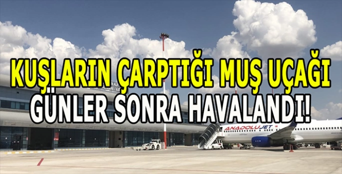 Muş’ta kuşa çarpan uçak günler sonra havalandı!