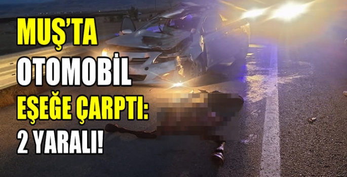 Muş’ta otomobil eşeğe çarptı: 2 yaralı!