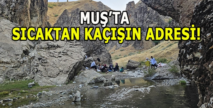 Muş’ta serinliğin ve huzurun buluşma noktası: Kızılağaç kanyonu!