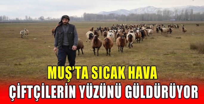 Muş’ta sıcak hava çiftçilerin yüzünü güldürüyor