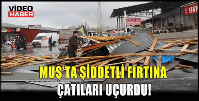 Muş'ta şiddetli fırtına çatıları uçurdu!