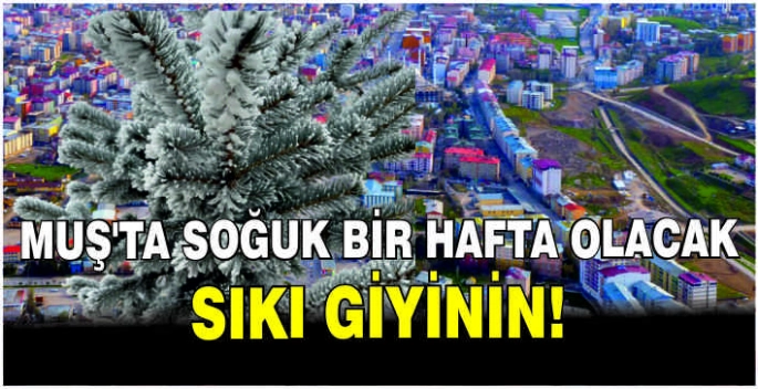 Muş'ta soğuk bir hafta bekleniyor: Sıkı giyinin!