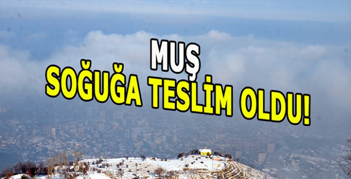 Muş'ta soğuk hava etkisini sürdürüyor