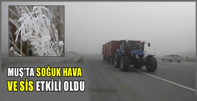 Muş'ta soğuk hava ve sis etkili oldu
