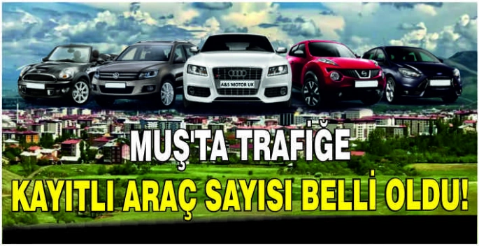 Muş’ta trafiğe kayıtlı araç sayısı belli oldu!